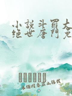 小说斗罗大陆2绝世唐门免费版