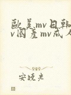欧美mv日韩mv国产mv成人