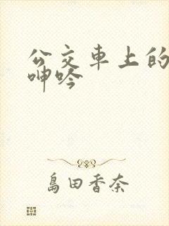 公交车上的高潮呻吟