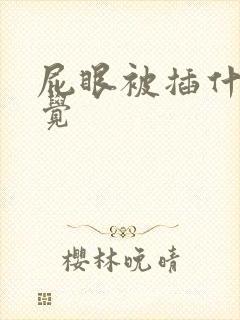 屁眼被插什么感觉