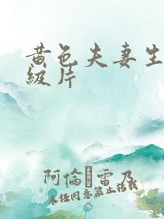 黄色夫妻生活一级片