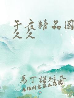 午夜精品国产久久久