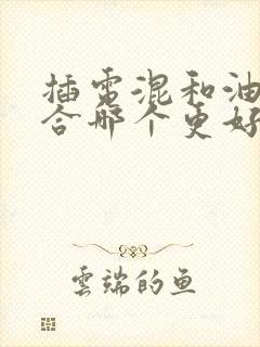 插电混和油电混合哪个更好