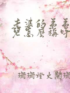 老婆的弟弟的女儿怎么称呼
