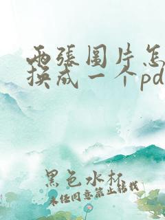 两张图片怎么转换成一个pdf