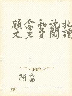 顾念和沈北漠全文免费阅读无弹窗