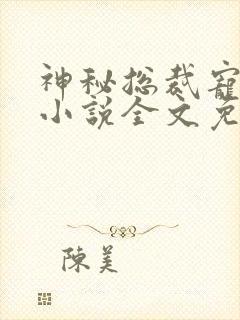 神秘总裁宠上瘾小说全文免费阅读