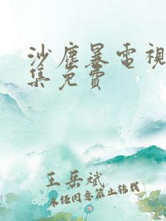 沙尘暴电视剧全集免费