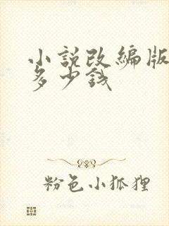 小说改编版权费多少钱