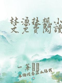 林渔扶枫小说全文免费阅读