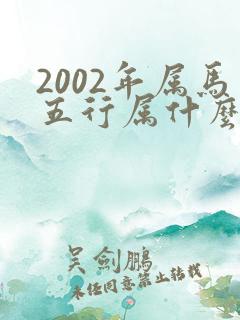 2002年属马五行属什么命