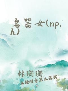 名器女(np,h)