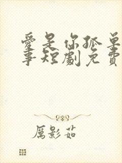 爱是你孤单的心事短剧免费观看