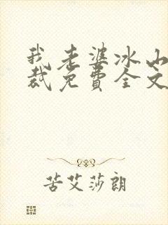 我老婆冰山女总裁免费全文阅读