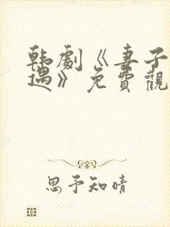 韩剧《妻子的外遇》免费观看