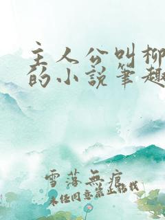 主人公叫柳无邪的小说笔趣阁完结篇