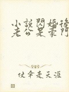 小说闪婚后发现老公是豪门总裁免费