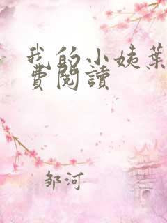 我的小姨叶凡免费阅读