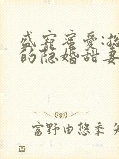 盛宠蜜爱:总裁的隐婚甜妻
