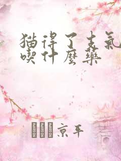 猫得了支气管炎吃什么药