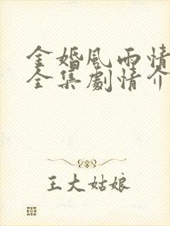 金婚风雨情免费全集剧情介绍