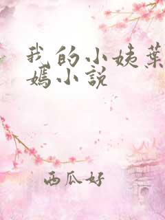 我的小姨叶凡司嫣小说