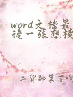 word文档最后一张想横方向怎么办