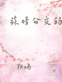 苏晴公交的小说