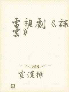 电视剧《谍战风云》