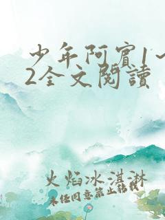 少年阿宾1～72全文阅读