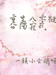 重生八零糙汉老公独宠我