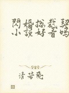 闪婚总裁契约妻小说好看吗