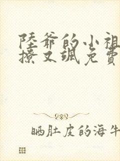 陆爷的小祖宗又撩又飒免费
