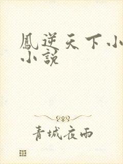 凤逆天下小说 小说