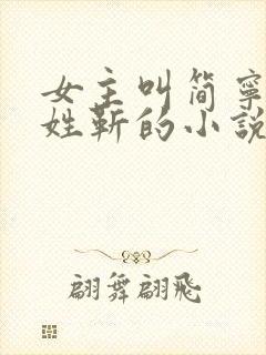 女主叫简宁男主姓靳的小说