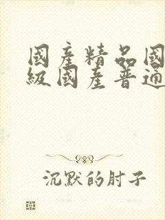 国产精品国产三级国产普通话66