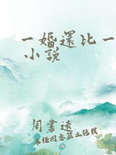 一婚还比一婚高 小说