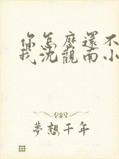 你怎么还不来哄我沈观南小说免费阅读