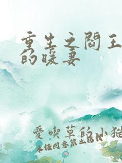 重生之阎王总裁的暖妻