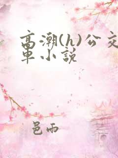 高潮(h)公交车小说