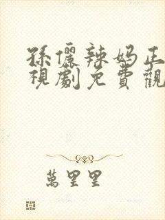 孙俪辣妈正传电视剧免费观看