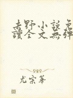 去野小说免费阅读全文无弹窗