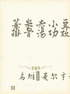薏米赤小豆冬瓜排骨汤功效