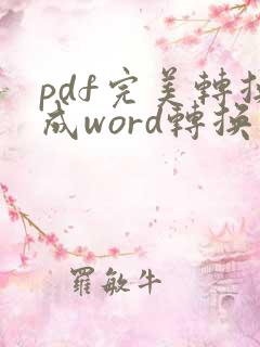 pdf完美转换成word转换器