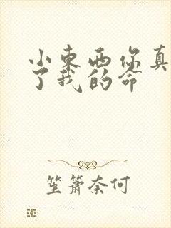 小东西你真能要了我的命