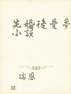 先婚后爱梦筱二小说