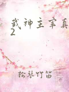 武神主宰真人版2