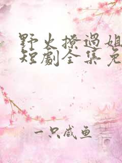 野火撩过姐姐心短剧全集免费