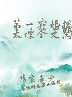 第一宠婚总裁别太坏全文阅读免费阅读