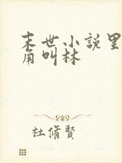 末世小说里面主角叫林